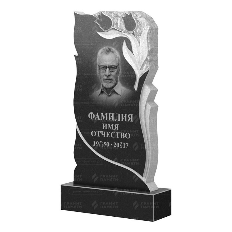 Гранитные памятники в Балашихе | Гранитный памятник ФГ-223