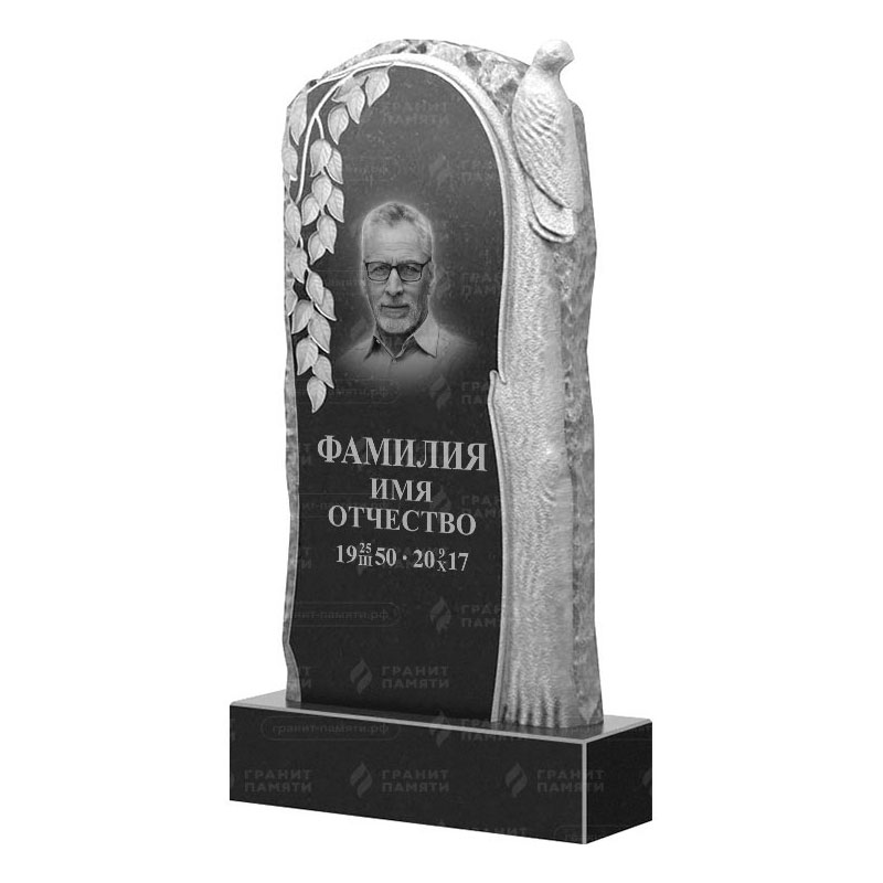 Гранитные памятники в Балашихе | Гранитный памятник ФГ-206