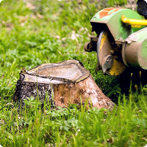 Благоустройство могил | Выкорчевывание пней